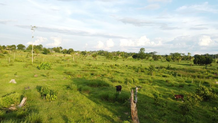 WhatsApp Image 2025-01-29 at 12.16.07 (1)