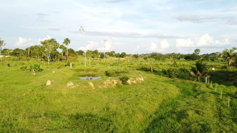 WhatsApp Image 2025-01-29 at 12.16.07