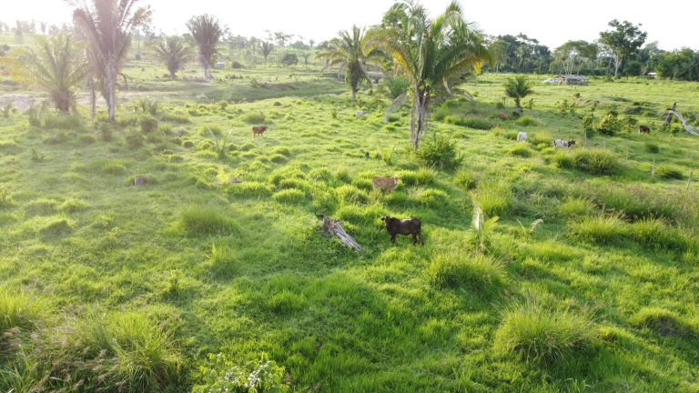 WhatsApp Image 2025-01-29 at 12.16.08 (1)