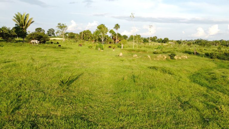 WhatsApp Image 2025-01-29 at 12.16.08 (2)