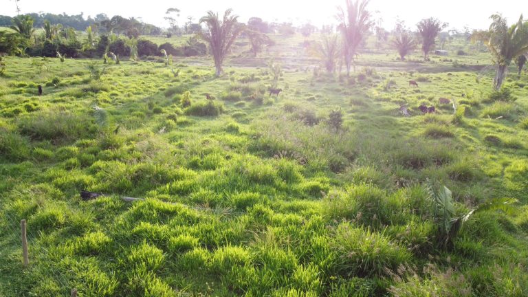 WhatsApp Image 2025-01-29 at 12.16.08