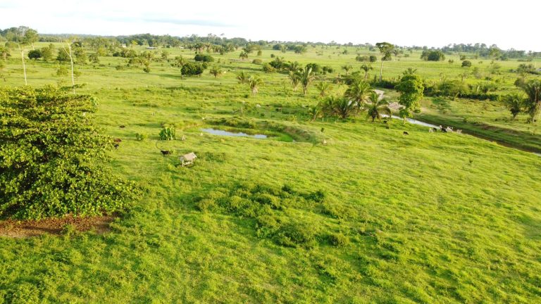 WhatsApp Image 2025-01-29 at 12.16.09 (1)