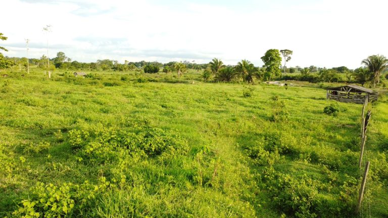 WhatsApp Image 2025-01-29 at 12.16.09