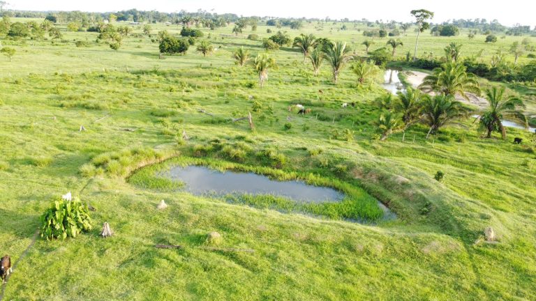 WhatsApp Image 2025-01-29 at 12.16.10