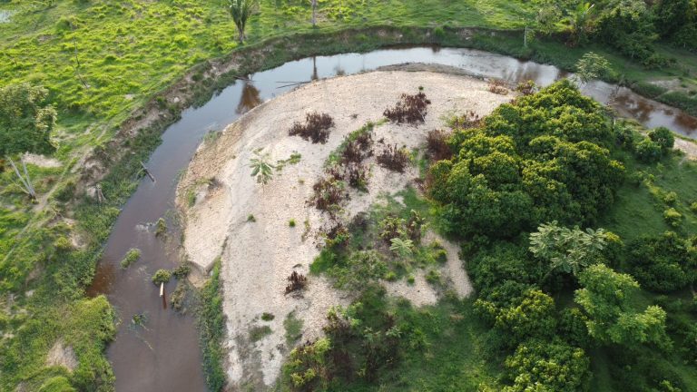 WhatsApp Image 2025-01-29 at 12.16.11