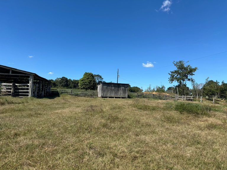 02f9209f-fe1e-4a35-95c0-9a307ad3a188