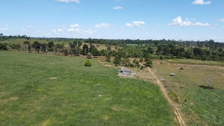 1486e3c3-f8d0-4f33-afe9-b7e2b4109aa0