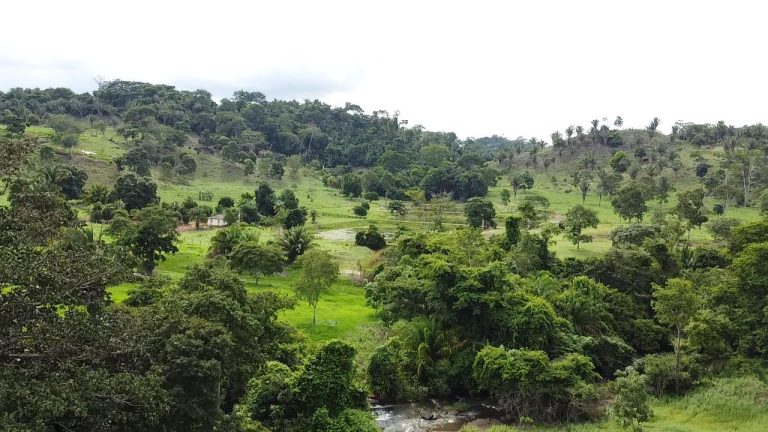 WhatsApp Image 2025-07-10 at 14.05.18 (1)