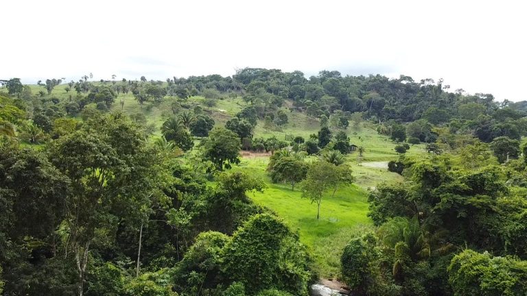 WhatsApp Image 2025-07-10 at 14.05.18 (2)