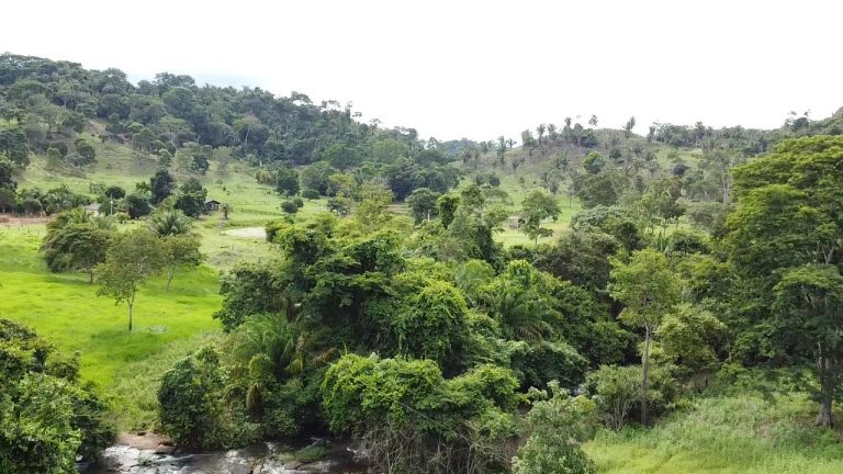 WhatsApp Image 2025-07-10 at 14.05.18 (3)