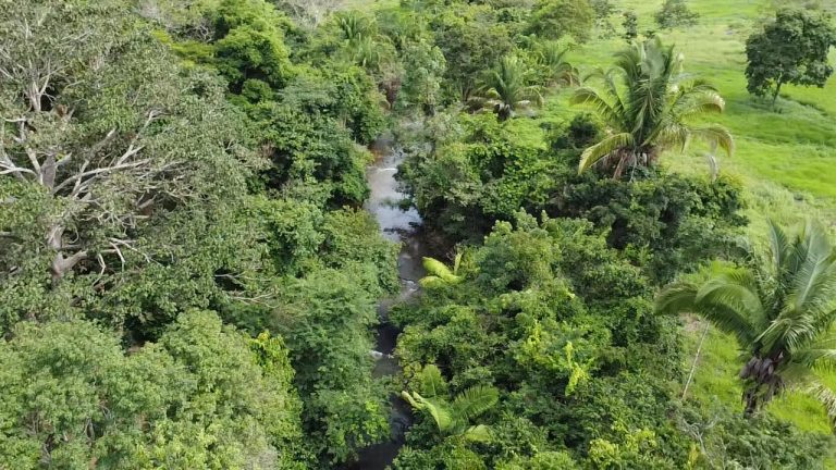 WhatsApp Image 2025-07-10 at 14.05.18