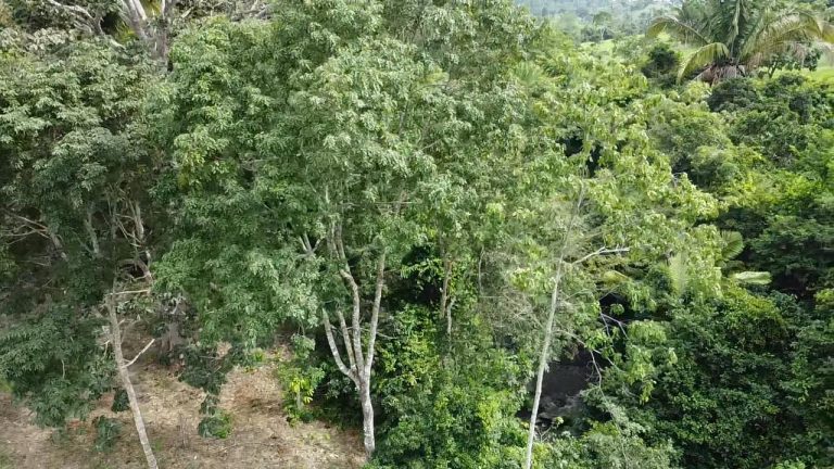 WhatsApp Image 2025-07-10 at 14.05.19 (1)