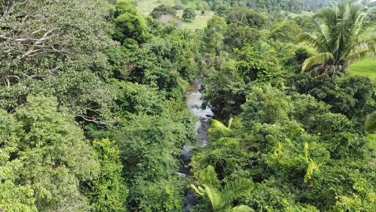 WhatsApp Image 2025-07-10 at 14.05.19 (3)