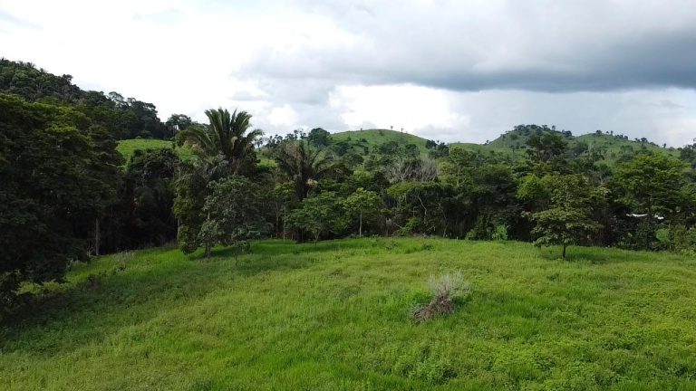 WhatsApp Image 2025-07-10 at 14.05.19