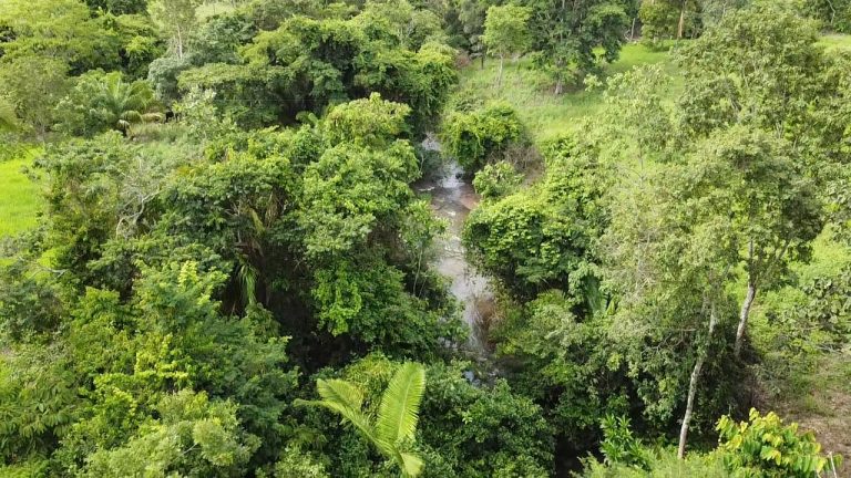 WhatsApp Image 2025-07-10 at 14.05.20 (1)