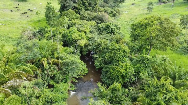 WhatsApp Image 2025-07-10 at 14.05.20 (3)