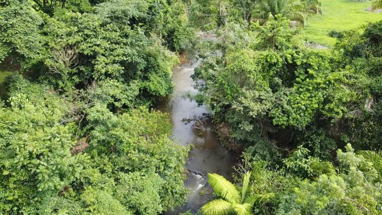 WhatsApp Image 2025-07-10 at 14.05.20