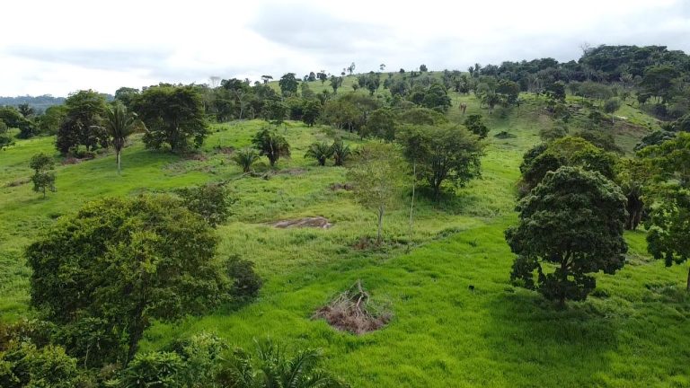 WhatsApp Image 2025-07-10 at 14.05.21 (1)