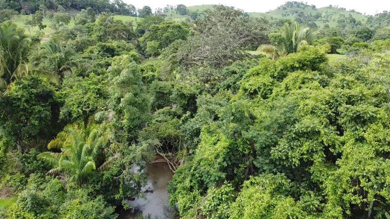 WhatsApp Image 2025-07-10 at 14.05.21 (2)