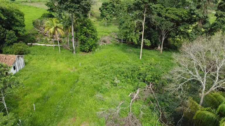 WhatsApp Image 2025-07-10 at 14.05.21 (3)