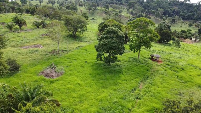 WhatsApp Image 2025-07-10 at 14.05.21