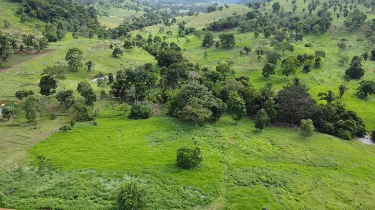 WhatsApp Image 2025-07-10 at 14.05.22 (1)