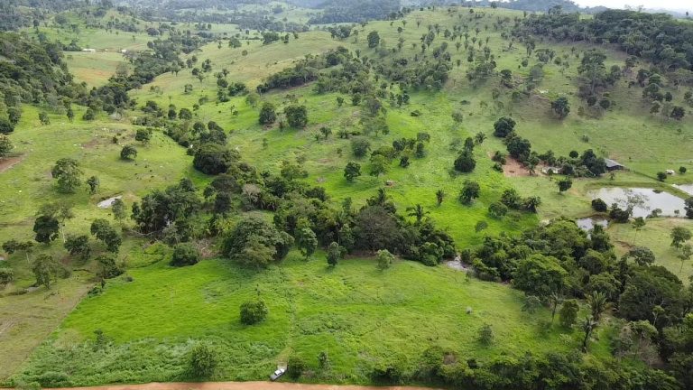 WhatsApp Image 2025-07-10 at 14.05.22 (3)