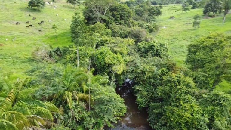 WhatsApp Image 2025-07-10 at 14.05.22