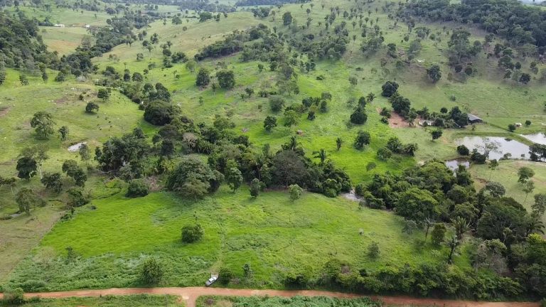 WhatsApp Image 2025-07-10 at 14.05.23 (2)