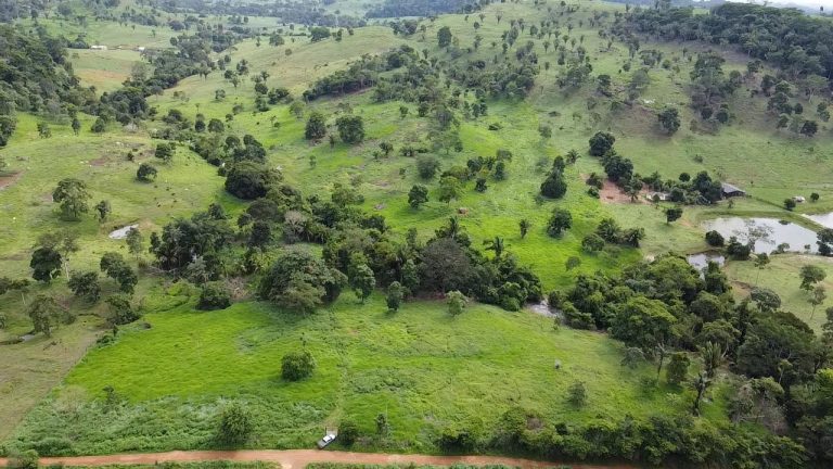 WhatsApp Image 2025-07-10 at 14.05.23 (3)