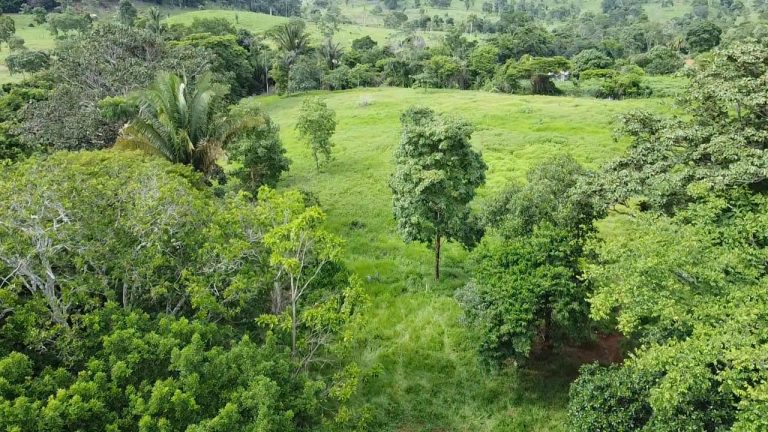 WhatsApp Image 2025-07-10 at 14.05.24 (3)