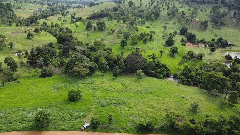 WhatsApp Image 2025-07-10 at 14.05.24