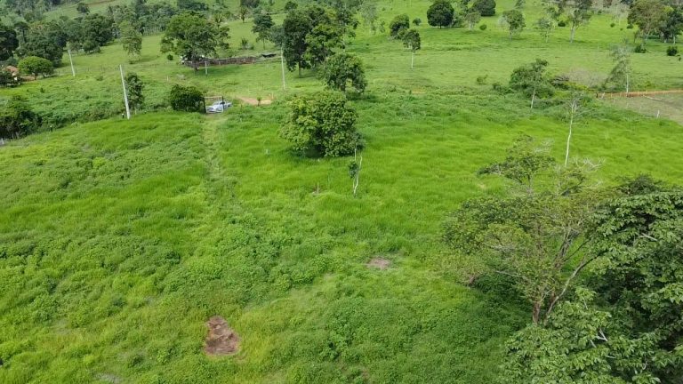 WhatsApp Image 2025-07-10 at 14.05.25