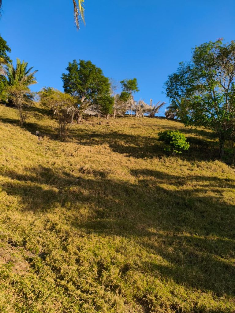 Imagem do WhatsApp de 2025-10-15 à(s) 08.54.49_5b5eef8e 9