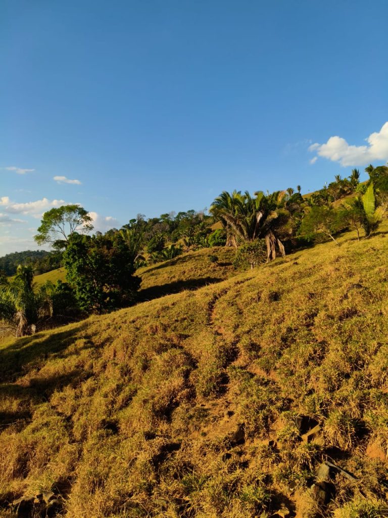 Imagem do WhatsApp de 2025-10-15 à(s) 08.54.49_5e1a4e3e 7