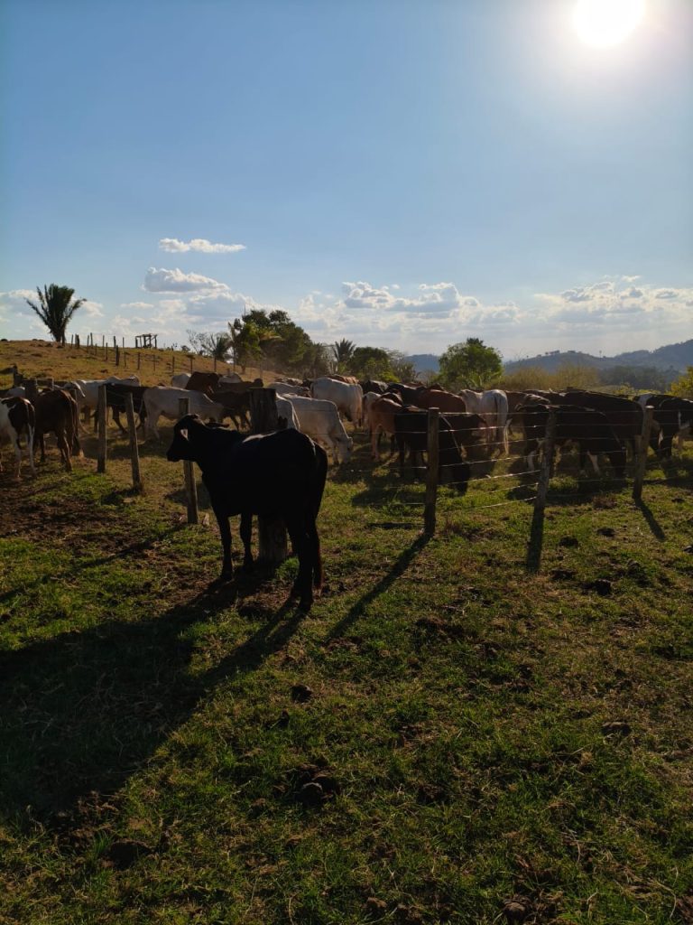 Imagem do WhatsApp de 2025-10-15 à(s) 08.54.50_b2d1b3bf11