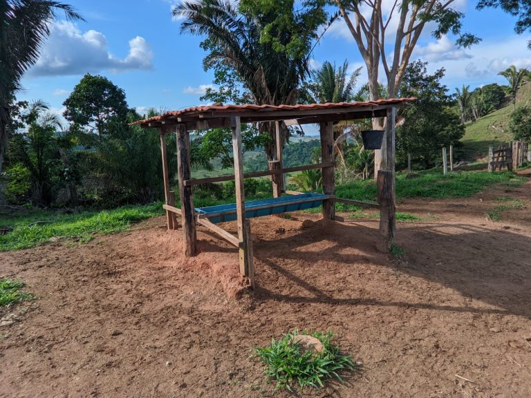 WhatsApp Image 2025-10-16 at 07.48.06