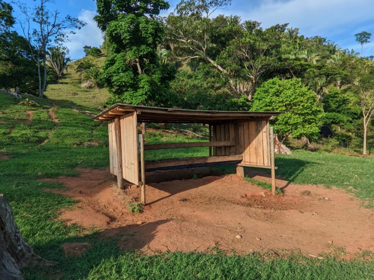 WhatsApp Image 2025-10-16 at 07.48.07 (1)