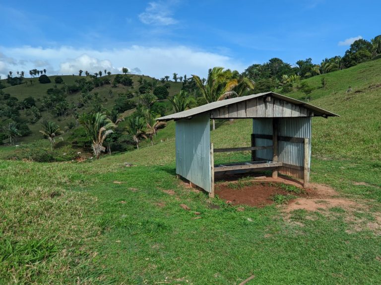 WhatsApp Image 2025-10-16 at 07.48.07