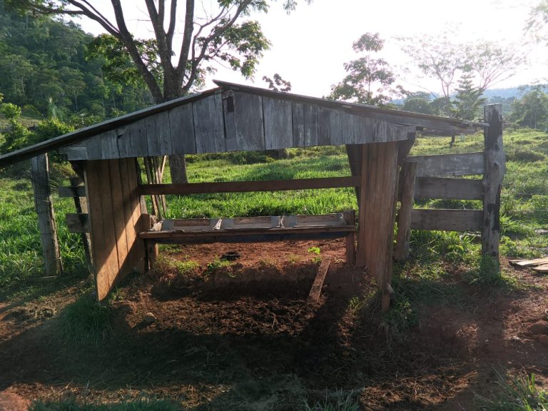 WhatsApp Image 2025-10-16 at 07.48.08